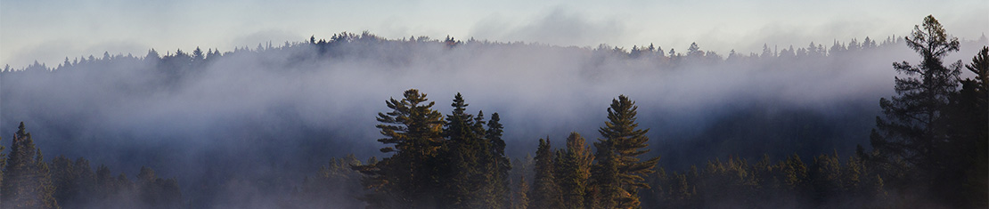 shawinigan banner image